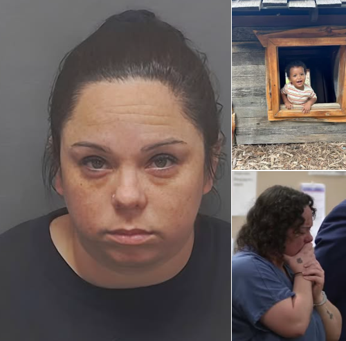 Texas Child Tragedy Sentencing: 37-Year-Old Heather Rodriquez Sentenced to 14 Years in Prison for Child Endangerment in October 2024 Fatal Pit Bull Mauling of 1-Year-Old Jiryiah Johnson While Babysitting in Texas – Rodriquez Left Toddler with 13-Year-Old Daughter, Ignored Dangerous Situation as Three Pit Bulls Attacked in “Tug of War,” Fought Officers Over Dogs in Aggravating Court Factor, Parents File $1 Million Wrongful Death Lawsuit